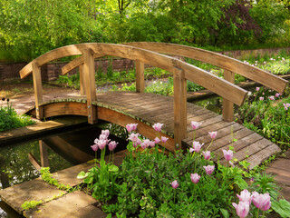 Wooden Japanese bridge close-up and blooming tulips in the park Dowesee, Braunschweig. Beautiful nature, environmental protection, rest and relaxation.