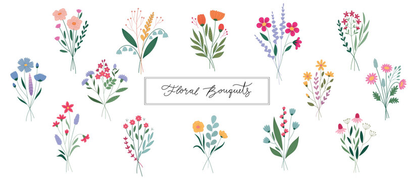 Floral bouquets, botanical set - leaves, plants, flowers. Cute hand drawn style. Colorful stroked