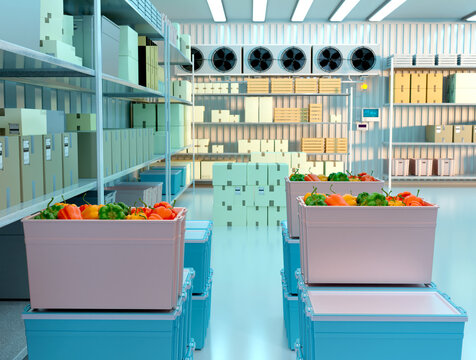 Refrigerator in manufacturing plant. Bulgarian pepper in boxes. Refrigerated container with boxes. Warehouse-refrigerator for vegetables and food. Shelves inside refrigerator. 3d image