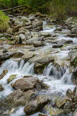 Scenic view of river flowing in forest, Regional Natural Park of the Ligurian Alps, Italy