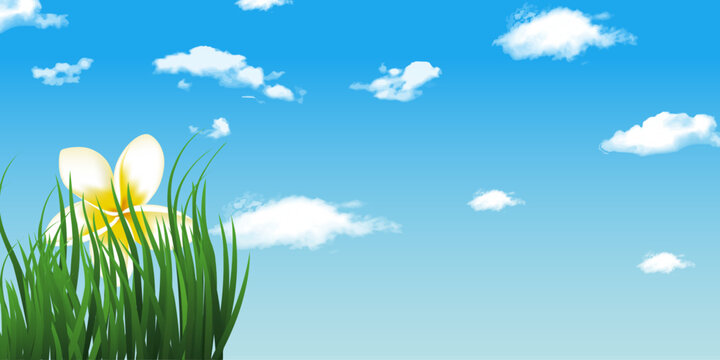 Landscape with realistic  grass, flower, sky and clouds.