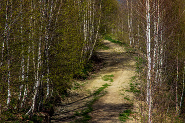 Hiking trail in the mountains of Romania