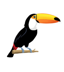 Illustration of a toco toucan sitting on a branch