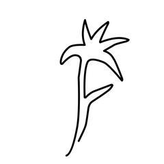 One Line Drawing Flower