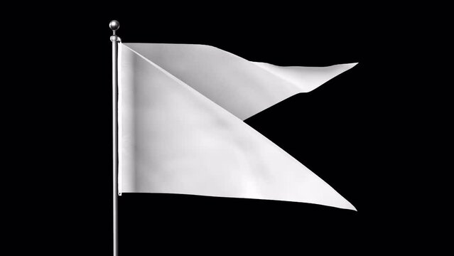 Flag Loops_Prores with Alpha.mov