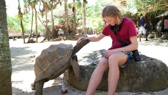 Smiling tourist boy patting Aldabra giant tortoise head - one of the largest tortoises in the world in the zoo nature park on Mauritius island. Beauty in Nature 4K concept footage.