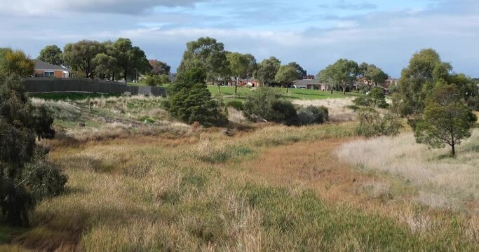 Skeleton Creek wetlands in a Australian suburban neighbourhood. It is thick with phragmites, common reed grass, and is a haven for birdlife, frogs and insects. Hoppers Crossing VIC Australia