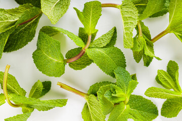 Fresh green mint on a white background. Mint leaves close up © Lazarenko O.