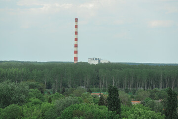 Fototapeta na wymiar plant chimney in the forest