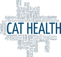 Obraz premium Cat Health word cloud conceptual design isolated on white background.