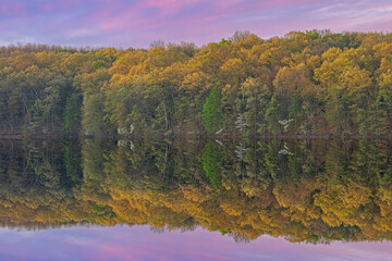 Spring landscape at dawn of the shoreline of Eagle Lake with mirrored reflections in calm water and dogwoods in bloom, Fort Custer State Park, Michigan, USA