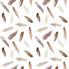 Hand painted watercolor seamless pattern with feathers 