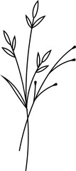 flower and leaf botanical line art and doodle illustration.
