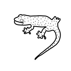 salamander animal reptile exotic carnivore forest doodle organic line