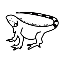 iguana animal reptile exotic carnivore forest doodle organic line