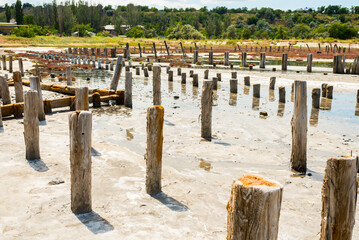 Wooden palisade made of logs old foundations for a bridge