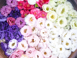 色とりどりの花手水