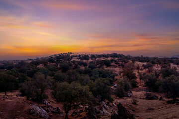 Road trip with in California