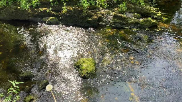 Gently running stream water in Kenmare.