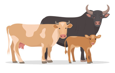 Red Cow with Calf and black Bull. Baby cow with mother and father. Best Beef Cattle Breeds. Dairy cattle. Farm animal family. Vector flat or cartoon illustration icon isolated on white backfround.