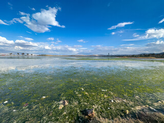 An intertidal zone covered with seagrass during low spring tide in İnciraltı, İzmir, Türkiye with blue cloudy sky. Environmental pollution concept.