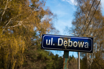 blue sign in the forest