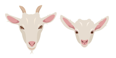 Goat and goatling kid faces. Goat Farm animals head icons. Dairy cattle goat portrait isolated on white background. Vector flat or cartoon illustration.