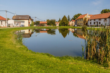 Fototapeta na wymiar Pond in Vilemovice village, Czech Republic