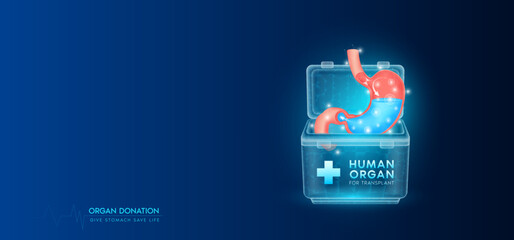 Donor organ. Human stomach in cooler box translucent low poly triangles with copy space for text. Donation for organ transplantation. Medical innovation diagnosis treatment concept. Banner vector.