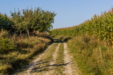 Fototapeta na wymiar Path in fields in Moravian Karst region, Czech Republic