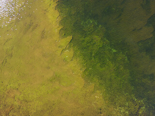 Photo texture, wallpaper.  Seabed and clear water, view from above.