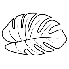 Monstera leaf black outline.
