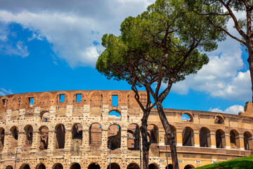Obraz premium Colosseum, Rome, Lazio, Italy