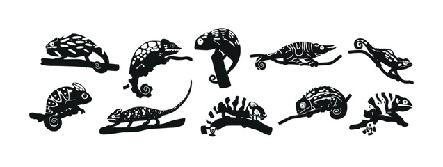 Black Silhouettes Of Chameleons Are Unique Lizards Known For Their Ability To Change Color. They Have Sticky Tongues © Pavlo Syvak