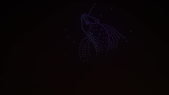 Hundreds of drone flight performances at night