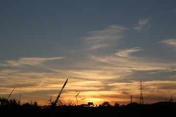 Obraz premium Sunset in the field.