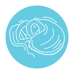 Argonaut color line illustration. Ocean fishes