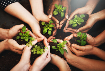Hands together, plants soil and ecology growth with sustainability and community work. People,...