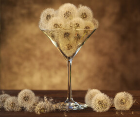 dandelion seed in martini glass with sunset light © Haletska Olha