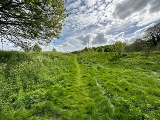 Fototapeta na wymiar Footpath through countryside, in spring with, wild plants, trees and a cloudy sky near, Shipley Glen, Shipley, UK