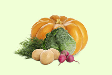 Many different fresh vegetables and dill on light green background