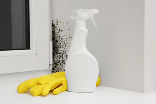 Mold remover spray bottle and rubber gloves near affected window slope in room