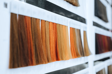 Hair palette samples of different colors
