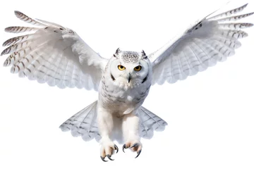 Foto op Canvas A white owl is flying in the air. Generative AI. © tilialucida