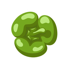 Sweet green bell pepper isolated on white background. Bell pepper in Cartoon style. Vector illustration