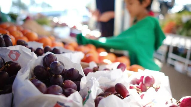 Experience the joy of organic shopping with this vibrant stock video. Join a young 35-year-old mother and her two adorable kids, aged 5 and 7, as they explore a bustling farmers market on a sunny day.