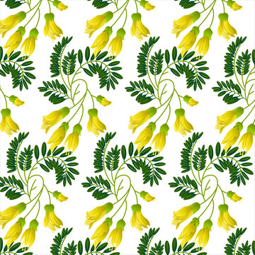 Floral seamless vector pattern of kowhai flowers. Kowhai floral and white background.