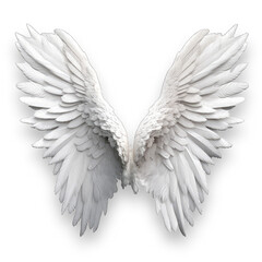 Fototapeta premium white angel wings in transparent background, ai generative