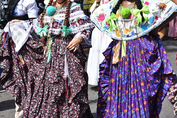 Colorfull panemian pollera folklore typical dress women parade