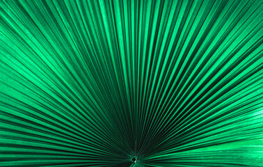 Obraz premium Green palm leaf texture. Plant wall, natural green wallpaper and background. Tropical leaf. Nature background of green forest.